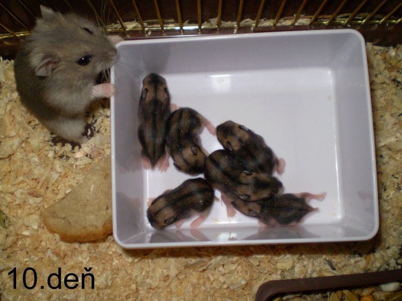 0f3c19edad_68560477_o2